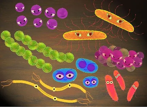 Bacteria animada - Imagui