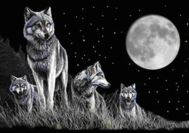Imagenes de lobos bajo la luna llena - Imagui