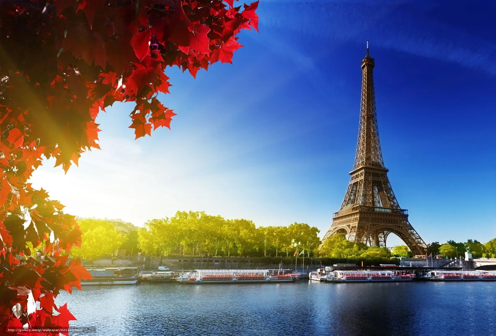 Baixar Wallpaper Torre Eiffel, Paris, Frana, rvores Papis de ... Baixar Wallpaper Torre Eiffel, Paris, Frana, rvores Papis de ...