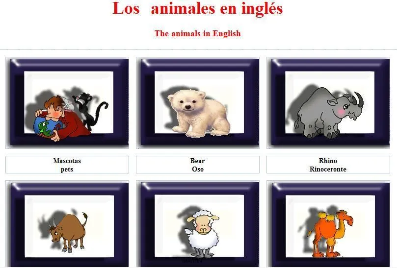 Banco de actividades Virtuales: The animals