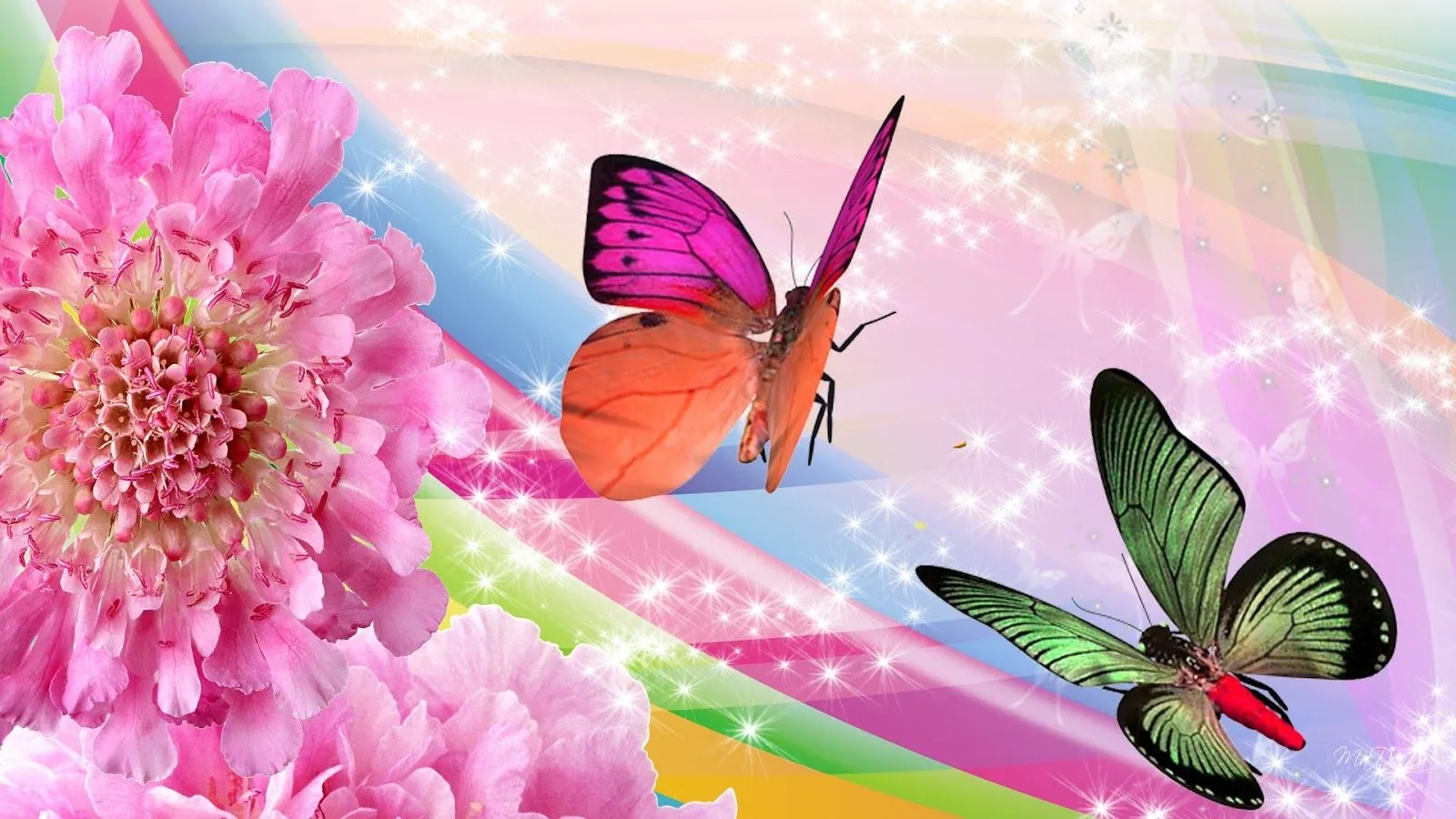 Banco de Imagenes y fotos gratis: Wallpapers de Mariposas 7 Banco de Imagenes y fotos gratis: Wallpapers de Mariposas 7