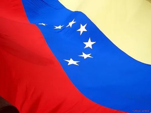 HABLEMOS DE PERPETUIDAD » bandera_venezuela