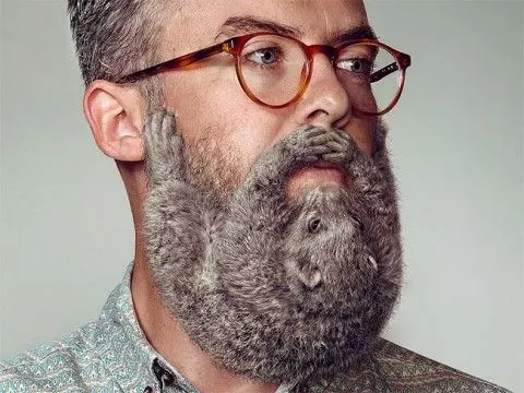 barbas « mis gafas de pasta
