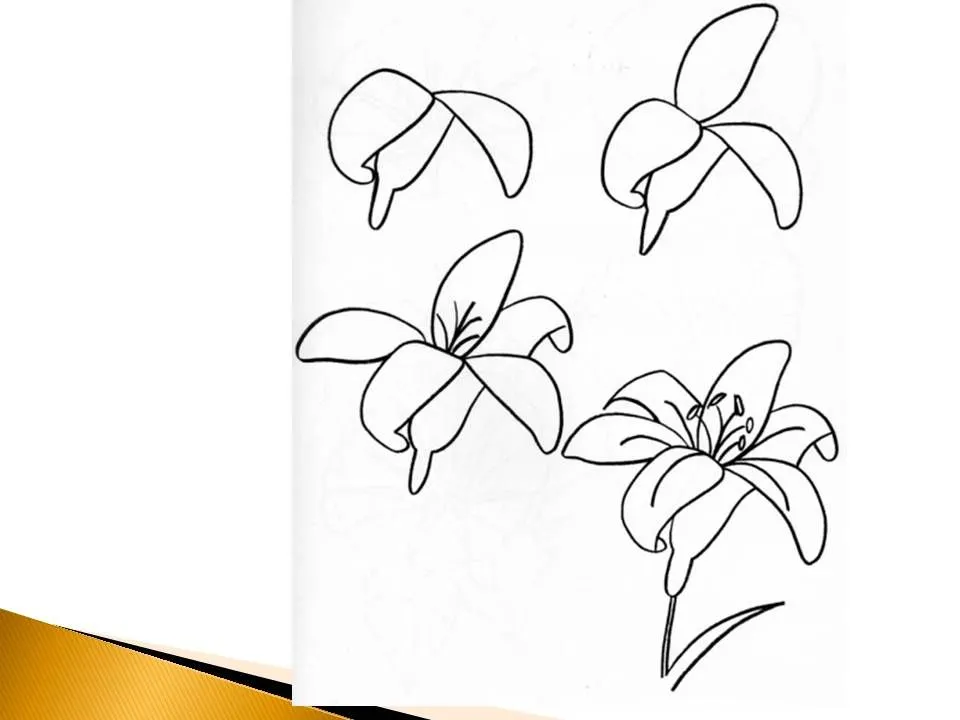 Baúl Manualidades: GUIA PARA DIBUJAR FLORES Baúl Manualidades: GUIA PARA DIBUJAR FLORES