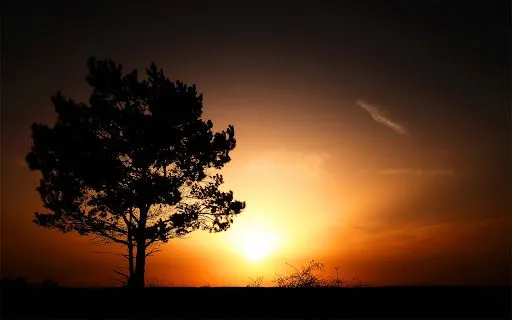 Bazar: Sunrise - Martin Krämer (hquer en deviantART) - atardeceres ... Bazar: Sunrise - Martin Krämer (hquer en deviantART) - atardeceres ...