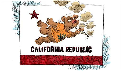 BBC Mundo - Noticias - ¿Marihuana para todos en California?