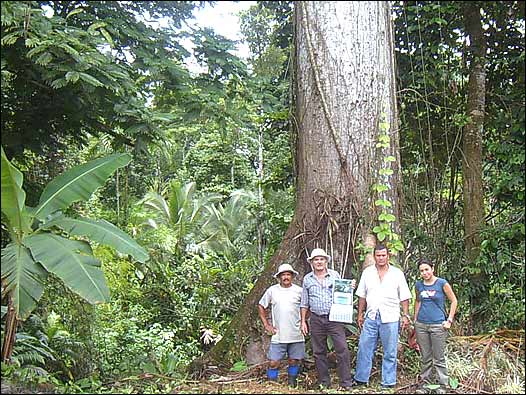 BBC Mundo - Participe - Costa Rica busca ser carbono neutral