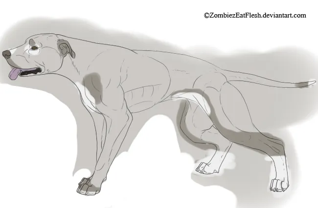 BDF-pitbull design comm. by Chained-Soul-Kennel on DeviantArt