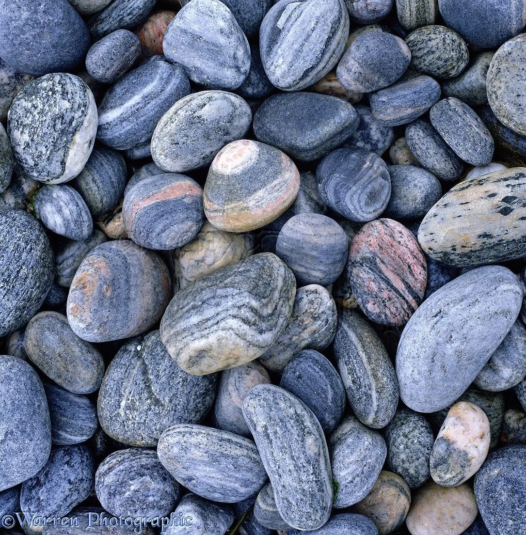 Beach-worn pebbles photo - WP01358