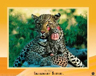Bebè con leopardo finto Poster di Tom Arma su AllPosters. Bebè con leopardo finto Poster di Tom Arma su AllPosters.