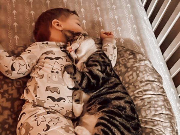 Bebé y mascotas: nuestros consejos | Nateo Concept