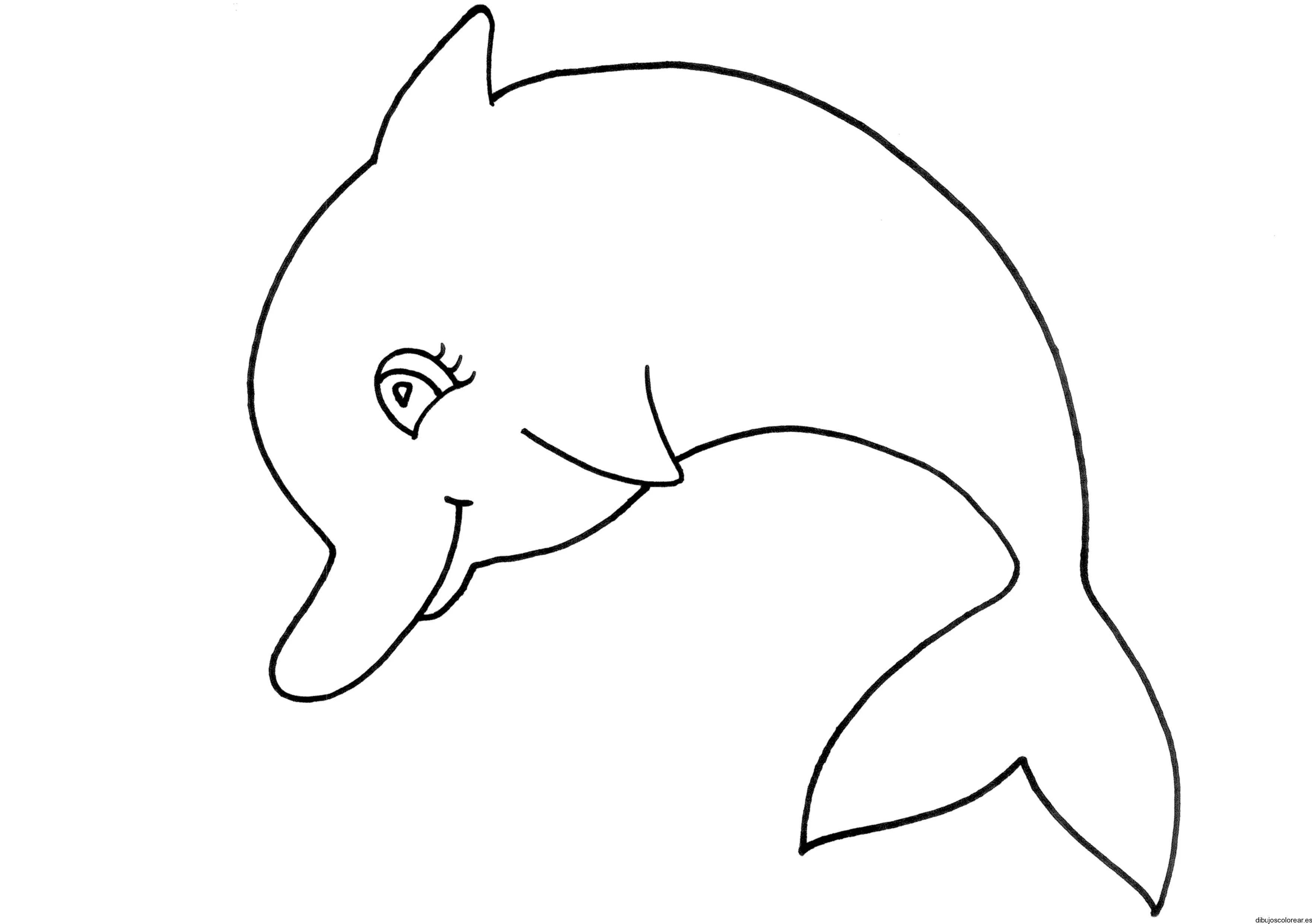 Dibujo de un delfín | Dibujos para Colorear