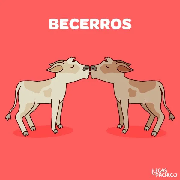 Unos becerros #besos #dibujo #mexico | Notas | Pinterest | Dibujo ...