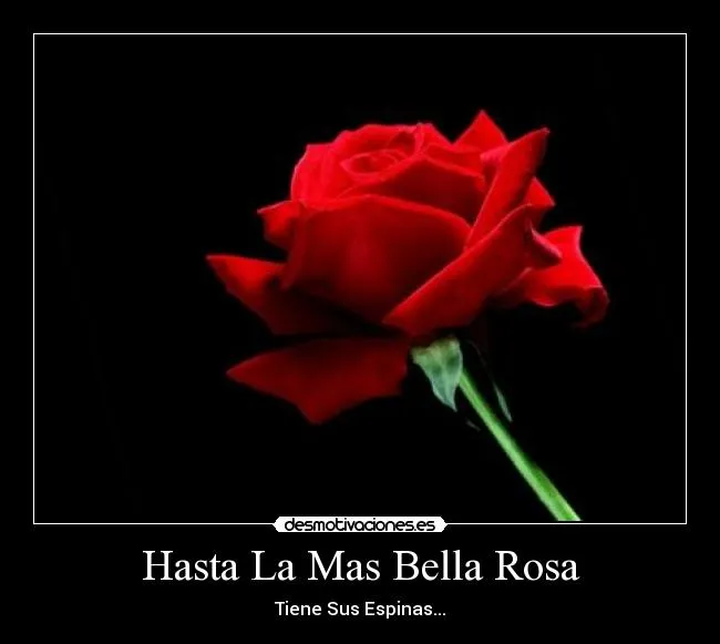 Hasta La Mas Bella Rosa | Desmotivaciones