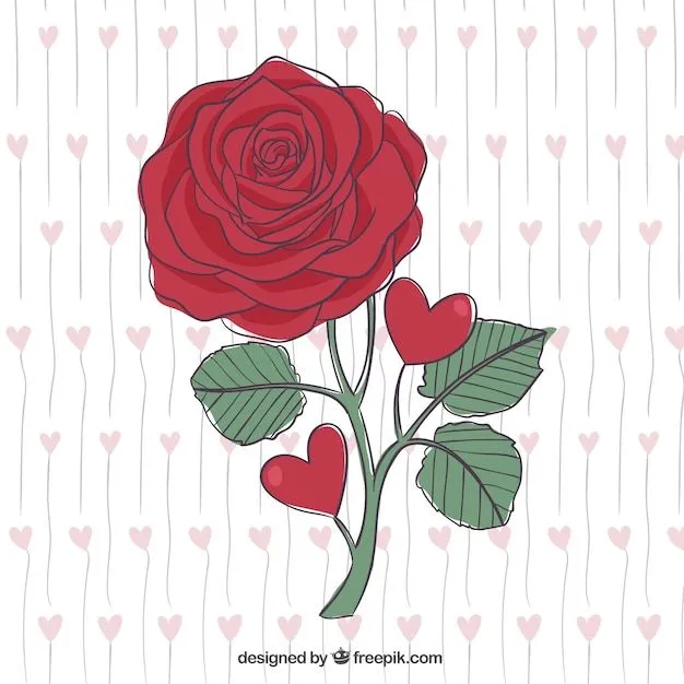 Bella rosa roja dibujada a mano | Descargar Vectores gratis Bella rosa roja dibujada a mano | Descargar Vectores gratis