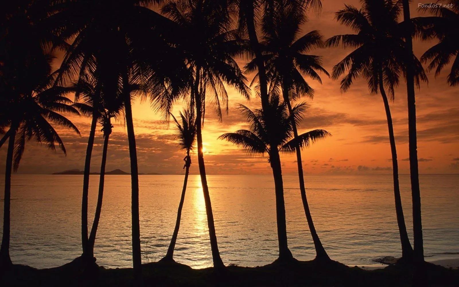 Un bello atardecer el la playa | wallpapernarium Un bello atardecer el la playa | wallpapernarium