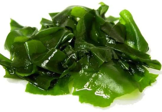 Beneficios de comer algas marinas | VISTOENLAWEB.ORG