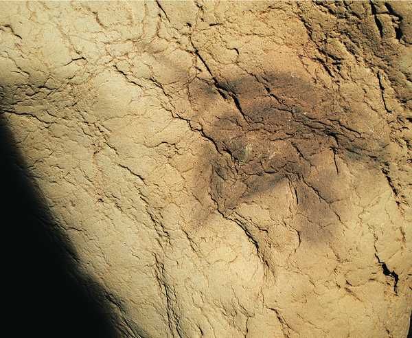 Bertan 15 - Orígenes del arte guipuzcoano. Capítulo 8: La cueva de ... Bertan 15 - Orígenes del arte guipuzcoano. Capítulo 8: La cueva de ...