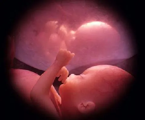 Beybies: El bebe dentro de la barriga siente y sueña