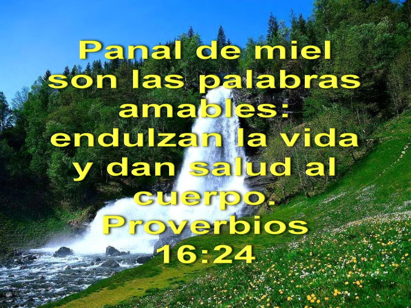 Biblia, paisajes y maravillas: Proverbios 16:24 | Biblia proverbios,  Proverbios, Frases biblicas de aliento