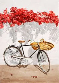 bicicleta  1.