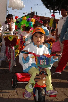 Bicicletas de primavera | Animal FM | Noticias de Concepción del ... Bicicletas de primavera | Animal FM | Noticias de Concepción del ...