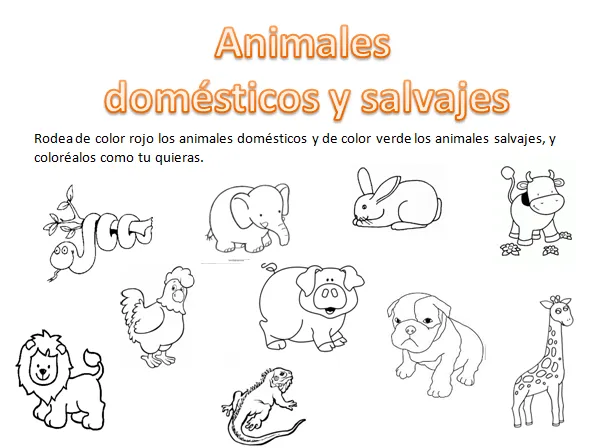 Dibujos para colorear animales salvajes y domésticos - Imagui