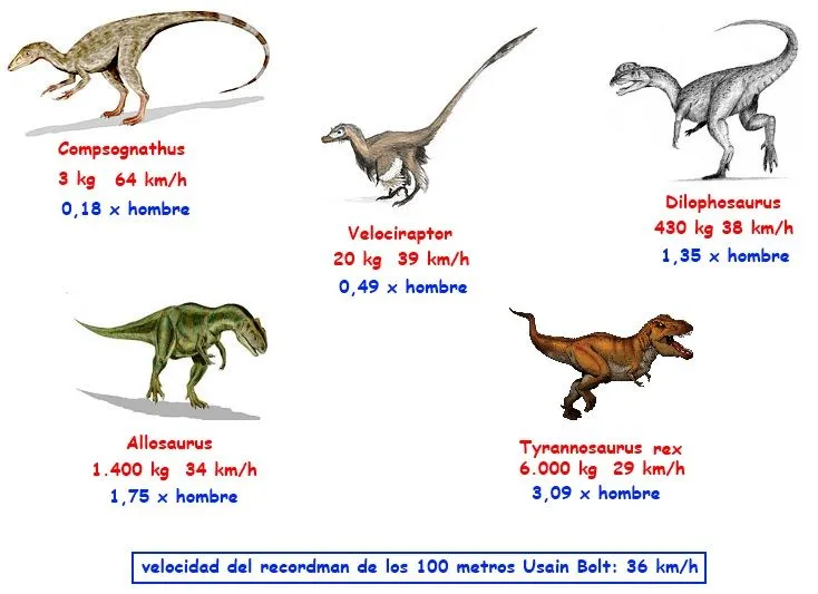 Nombres de dinosaurios con imagenes - Imagui