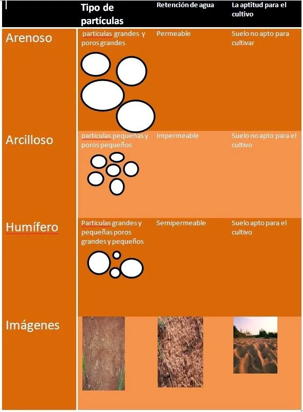 Bitácora de Bata: cuadro compararativo de tipo de suelos