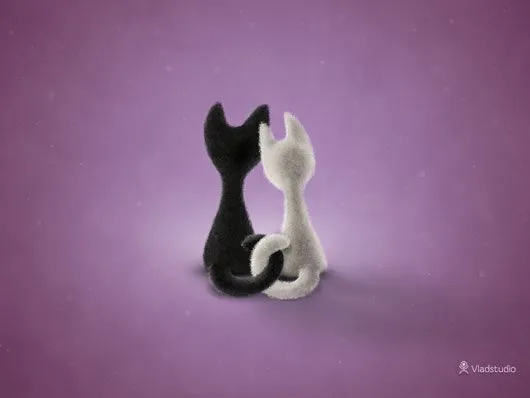 Black-Cat-White-Cat.jpg