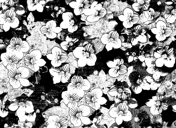 Blanco y negro dibujo floral tarjeta con pequeñas flores de grunge ...