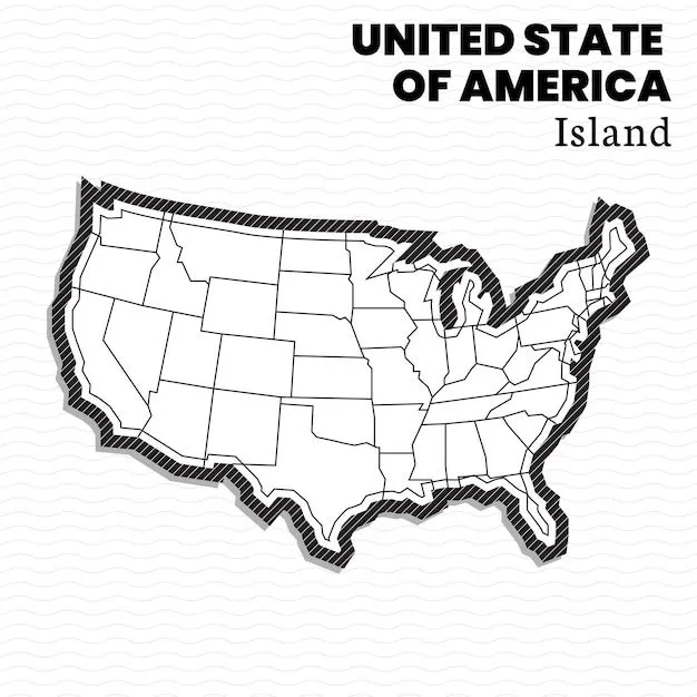 Blanco y negro estados unidos de américa isla mapa vectorial ilustración de  alto detalle con límites | Vector Premium