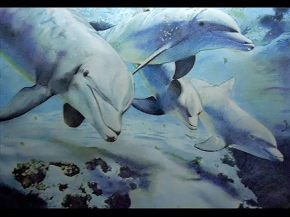 blog a cuadros: Cuatro delfines