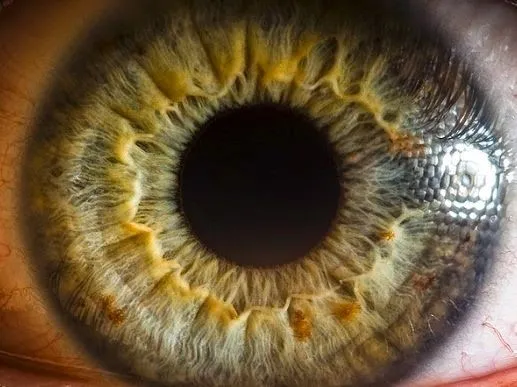 El blog de David: La estafa de marketing detrás del LG G3 El blog de David: La estafa de marketing detrás del LG G3