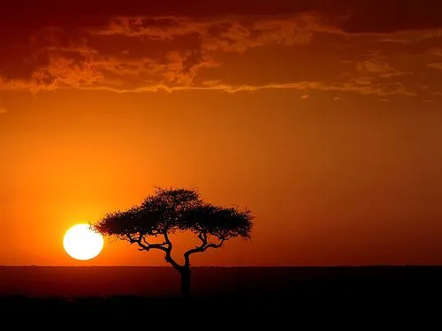 Tu blog de Fotos para compartir.: Africa, mis días de Ilusiones...