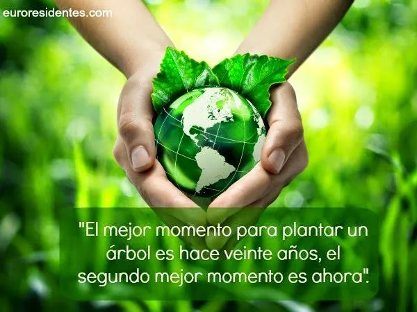Blog de Mis Frases: Frases para Cuidar el Medio Ambiente