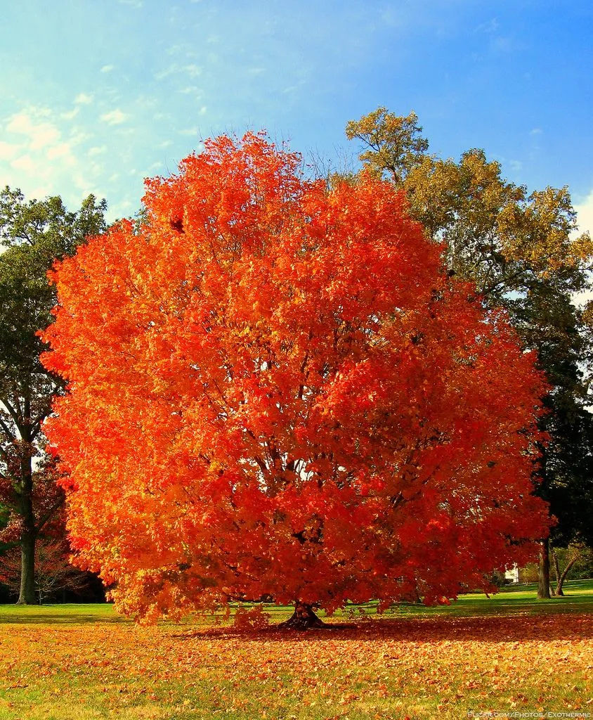 El Blog de Marcelo: OCTUBRE: PAISAJES DE OTOÑO El Blog de Marcelo: OCTUBRE: PAISAJES DE OTOÑO