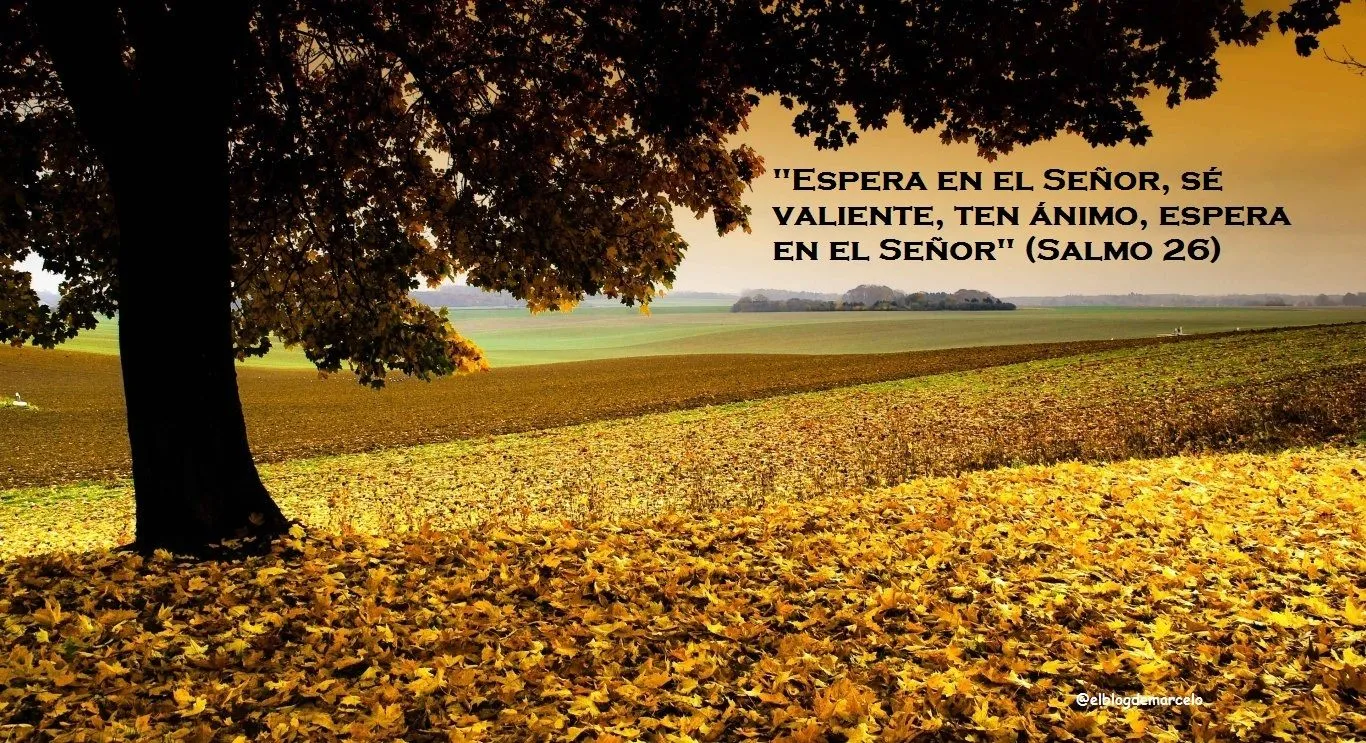 El Blog de Marcelo: ¡Regalo!: 20 paisajes de otoño, 20 frases de ... El Blog de Marcelo: ¡Regalo!: 20 paisajes de otoño, 20 frases de ...