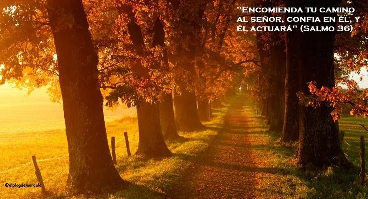 EL BLOG DE MARCELO: ¡Regalo!: 20 paisajes de otoño, 20 frases de ...