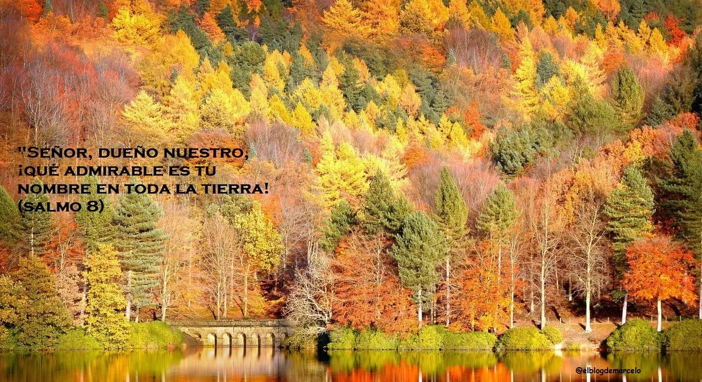 El Blog de Marcelo: ¡Regalo!: 20 paisajes de otoño, 20 frases de ... El Blog de Marcelo: ¡Regalo!: 20 paisajes de otoño, 20 frases de ...