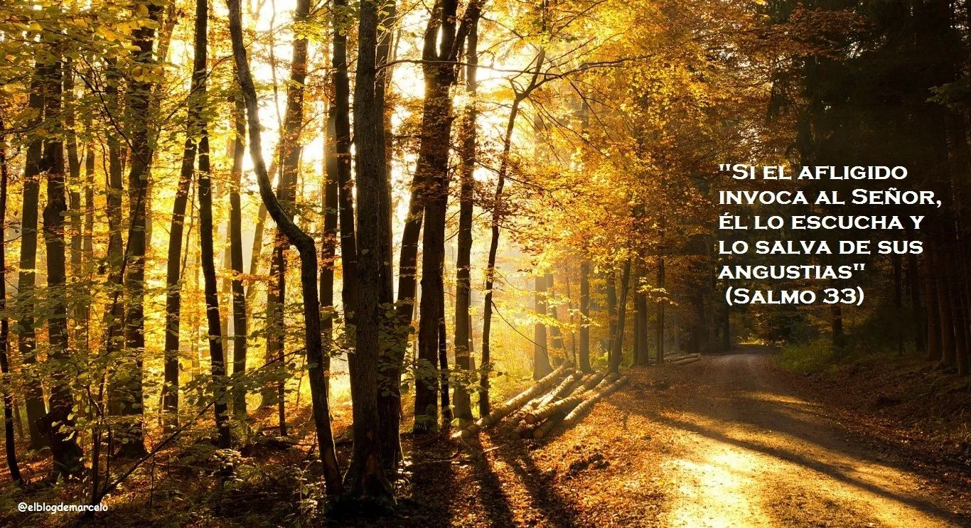 El Blog de Marcelo: ¡Regalo!: 20 paisajes de otoño, 20 frases de los salmos