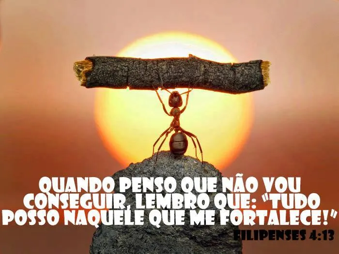 BLOG MINISTÉRIO INFANTIL IPMAR: FRASES BÍBLICAS BLOG MINISTÉRIO INFANTIL IPMAR: FRASES BÍBLICAS