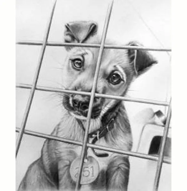 Imagenes de cachorros dibujados a lapiz - Imagui