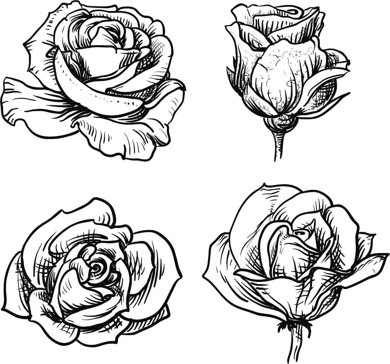 Bocetos de rosas para tatuajes - Imagui