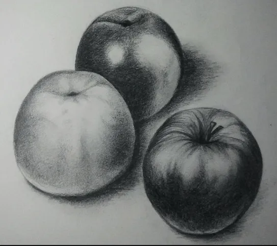 Frutas sombreadas - Imagui