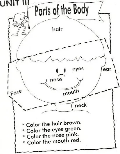 Fichas de partes del cuerpo en inglés para niños - Imagui