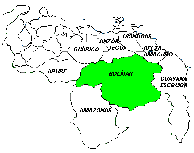 Bolívar - Venezuela Tuya
