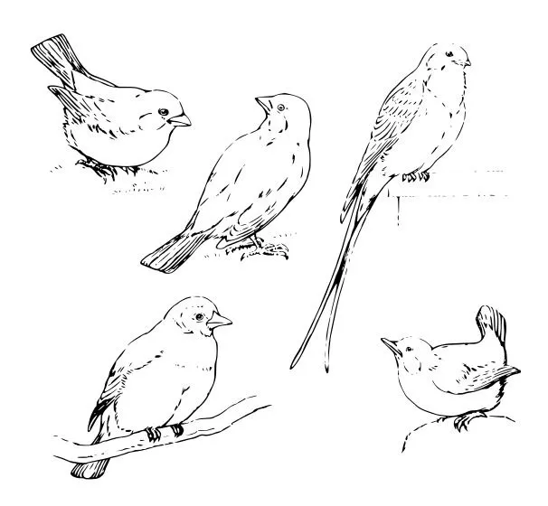 La bolsa de papel: Dibujos para imprimir y colorear de animales La bolsa de papel: Dibujos para imprimir y colorear de animales