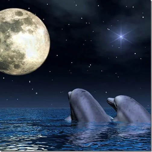  ... bonitas para el día del amor y la Amistad. Delfines mirando la luna