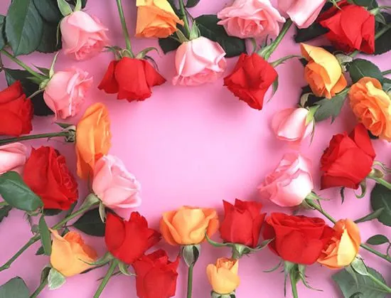 Bonitas rosas en diferentes colores imagen #3722